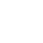Logo PL Group Srl Digital Agency